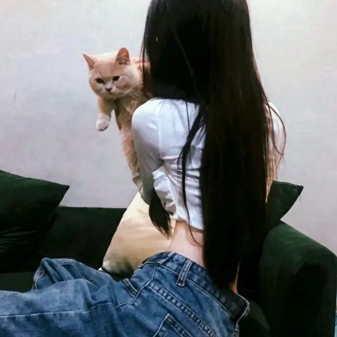 诗片
